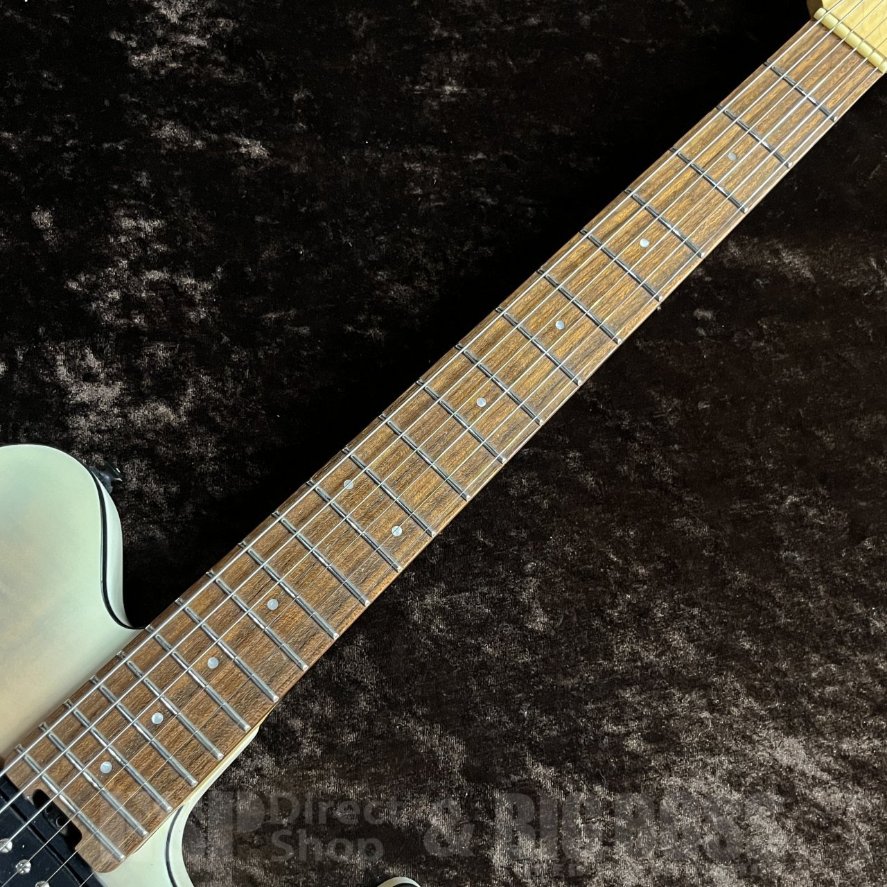 GrassRoots G-TB-55R（中古）【楽器検索デジマート】