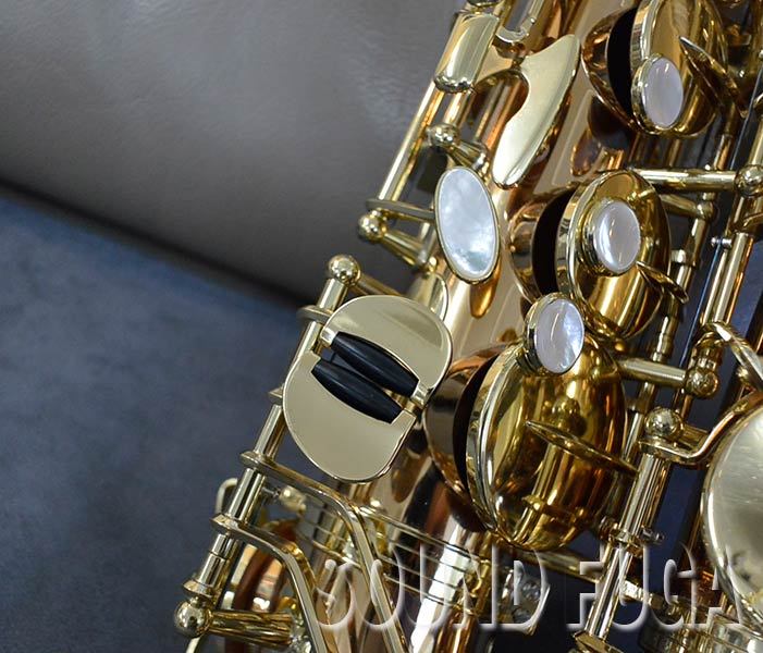 YANAGISAWA A-WO20 アルトサックス ブロンズブラス製 ヘヴィー