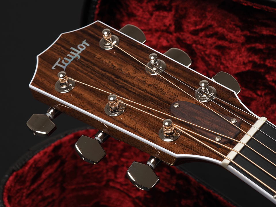 Taylor Legacy 810e ~Legacy Collection~【ファーストロットモデル