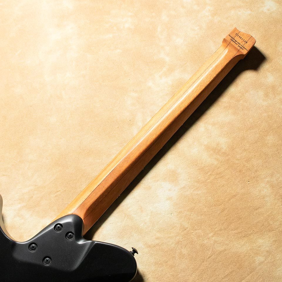 strandberg Salen NX 6 Tremolo Plini Edition Black（新品/送料無料