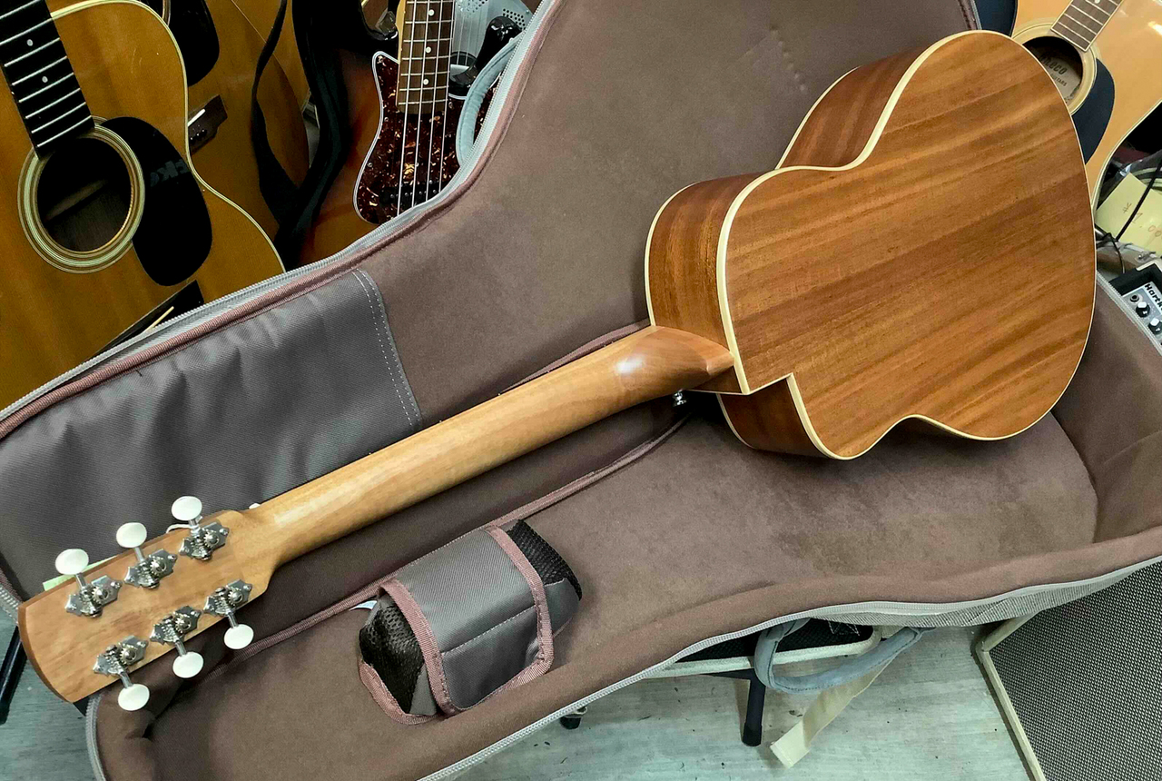 aNueNue MC10 アヌエヌエ aNueNue アヌエヌエ aNN-MC10 アコースティックギター ミニ