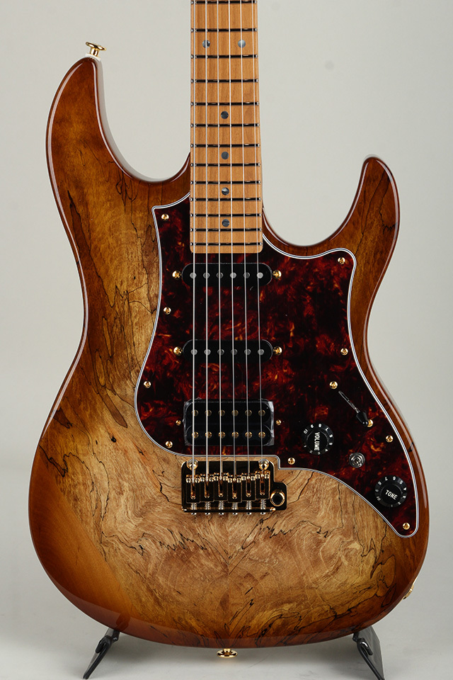 FUJIGEN(FGN) Expert ODYSSEY EOS2-EW1-HS-RM/HCB【S/N J250460
