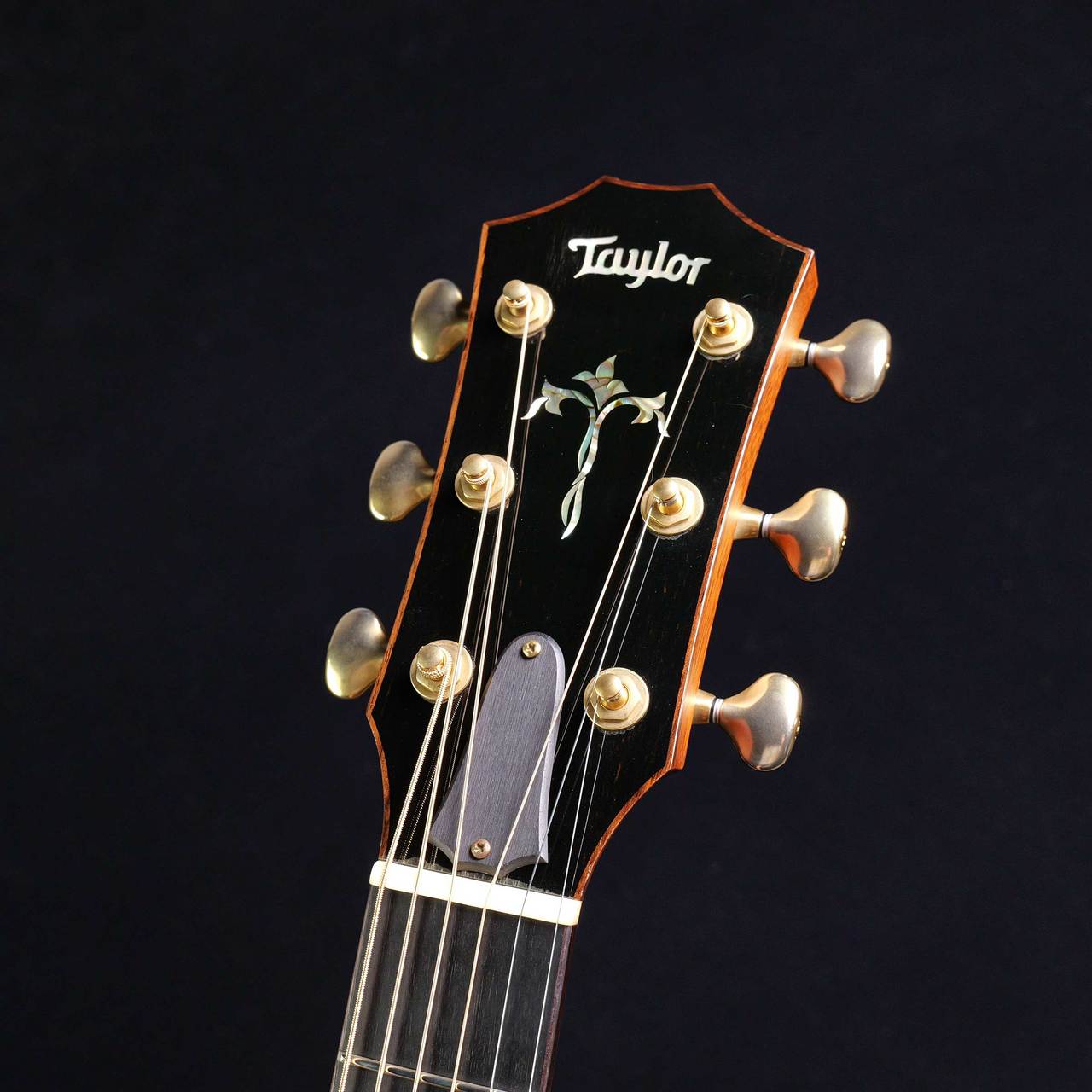 Taylor 914ce エレアコギター 【中古】（中古/送料無料）【楽器検索