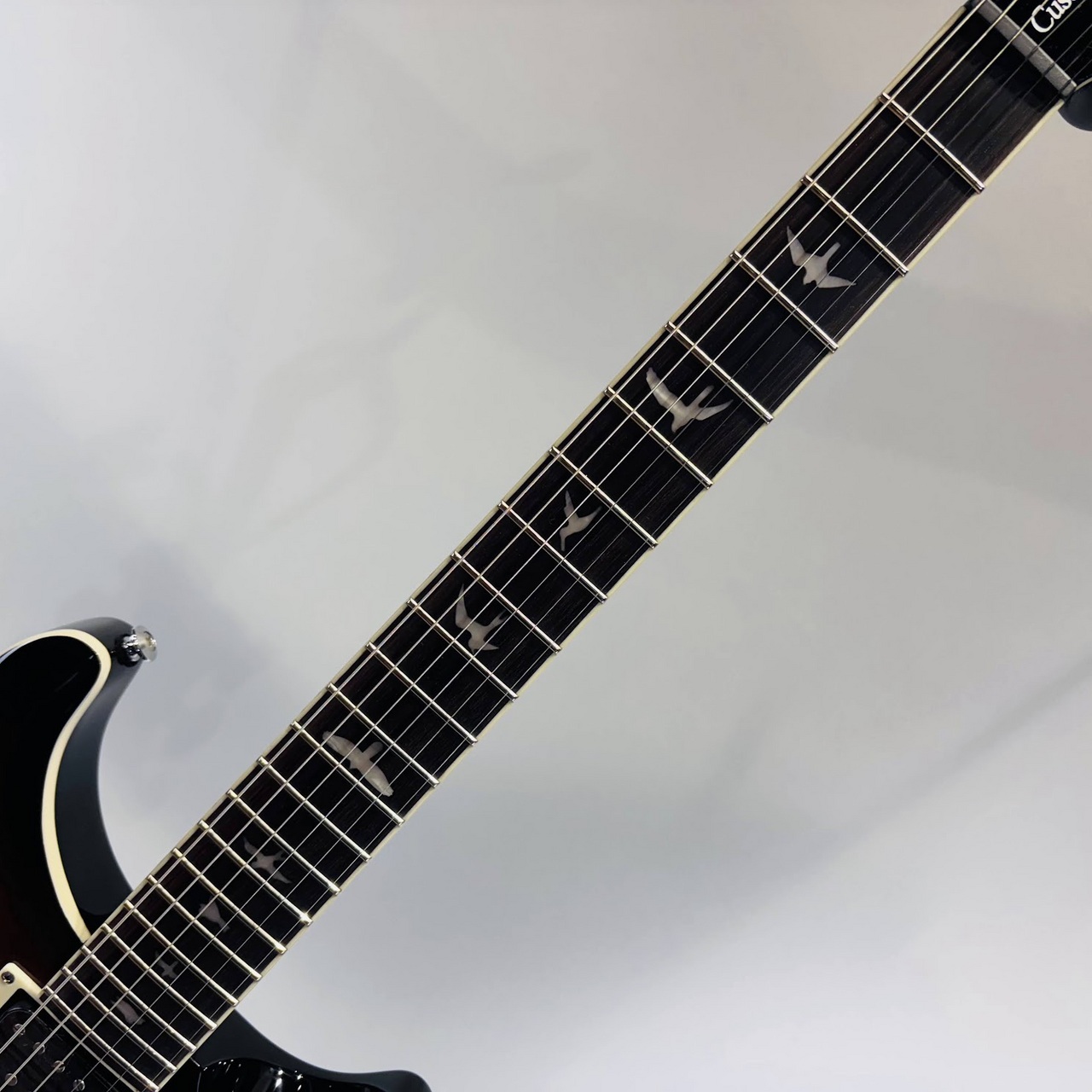 Paul Reed Smith(PRS) SE Custom 22 Semi-Hollow Quilt Black Gold