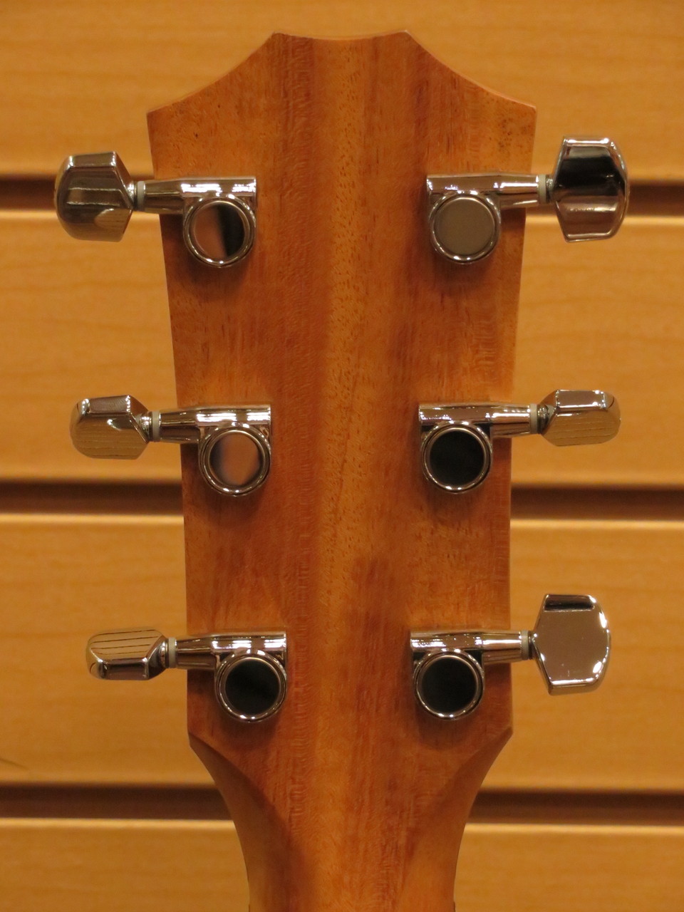 Taylor 214ce Fall-LTD エレアコ Taylor】テイラー『E