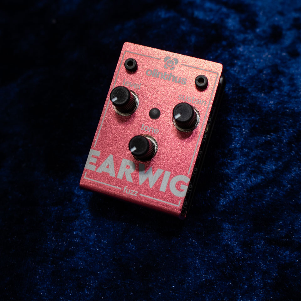 Olinthus EARWIG（新品/送料無料）【楽器検索デジマート】