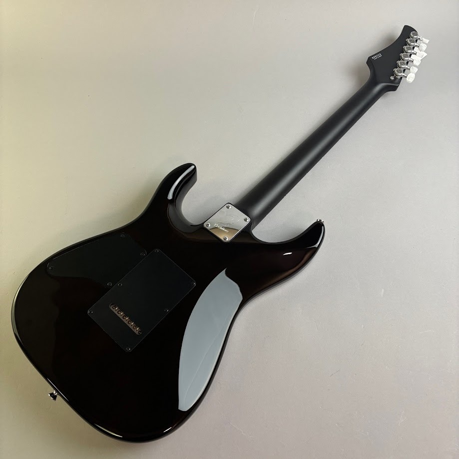 ギター T's Guitars DST-24 MAHOCUSTOM T's Guitars DST-24 MAHOCUSTOM 2024 5A-Quilt Whale Blue Burst（中古