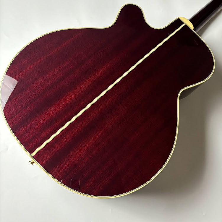 Takamine Takamine DMP551C WR エレアコギター 【500シリーズ