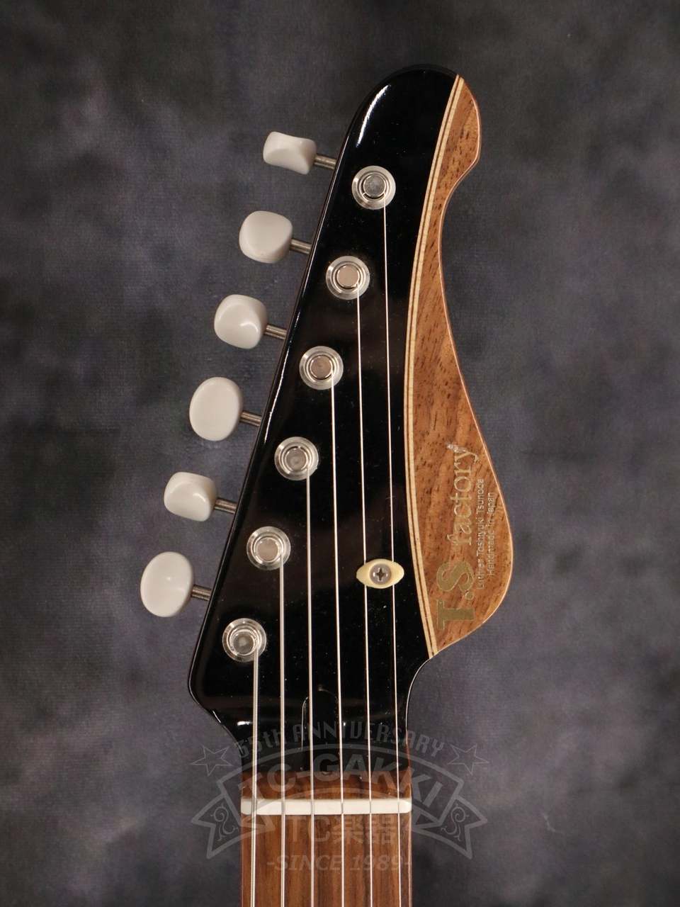 T.S factory 151A-Humanity Type1.5 25Anv+2（2022）（新品）【楽器