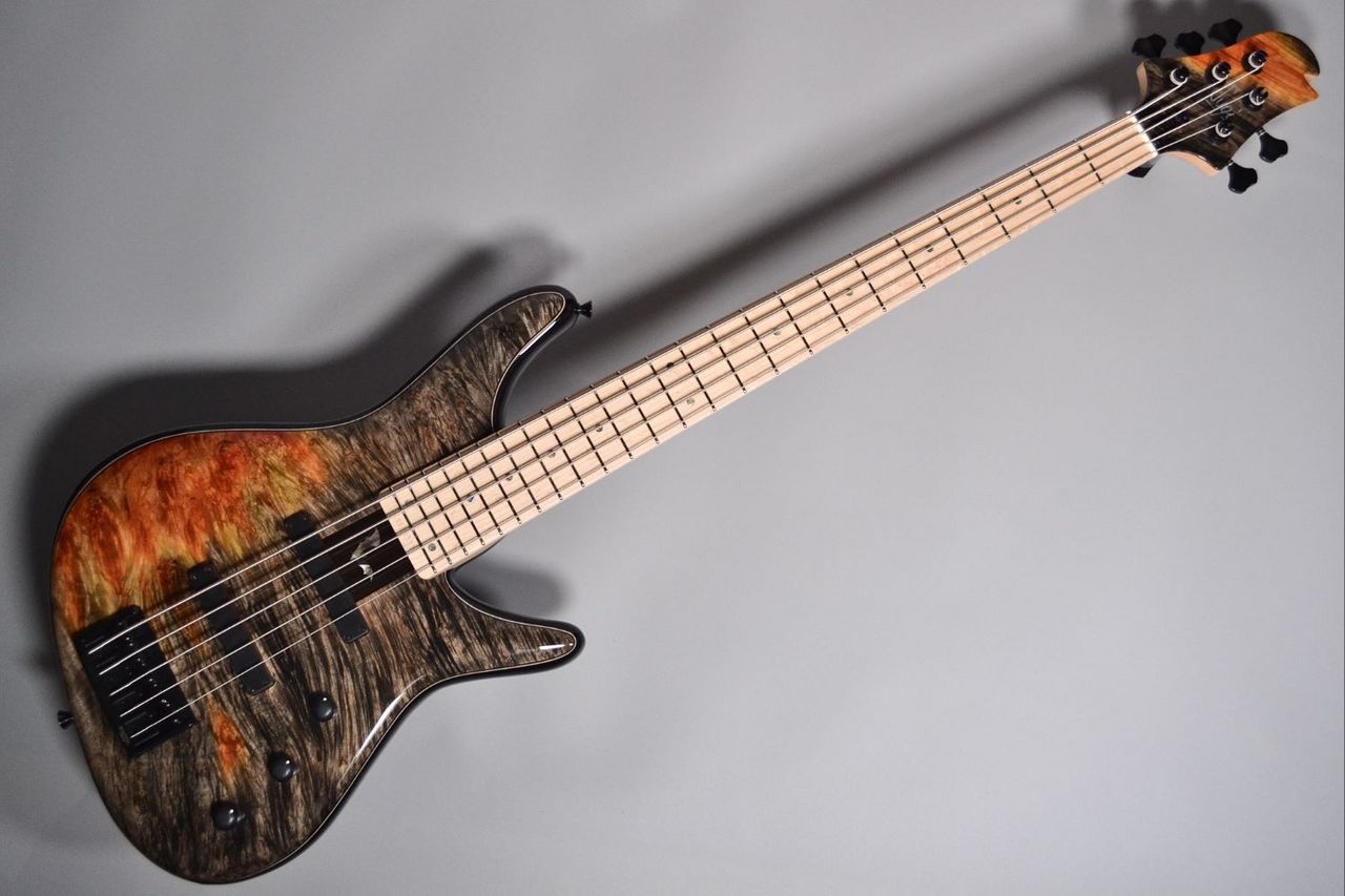 Sugi NB5M Burl Maple Premium 1P Top/Fuji Mahogany Body/Maple
