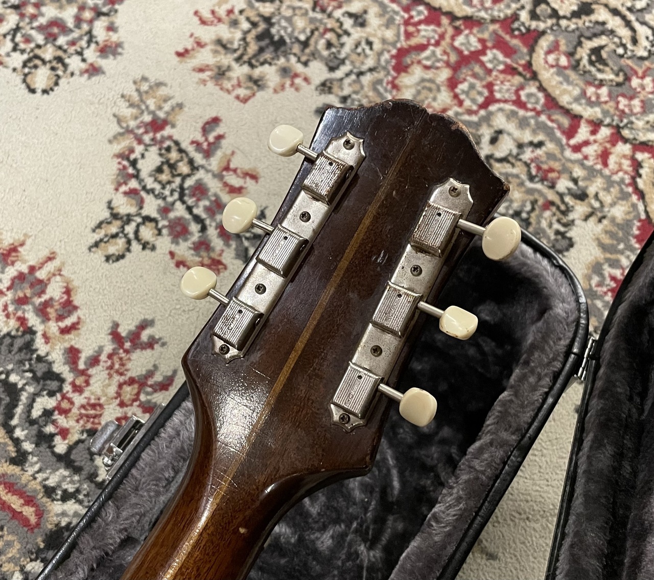 Epiphone E422T Century NY PU (1959年製) 【48回無金利分割