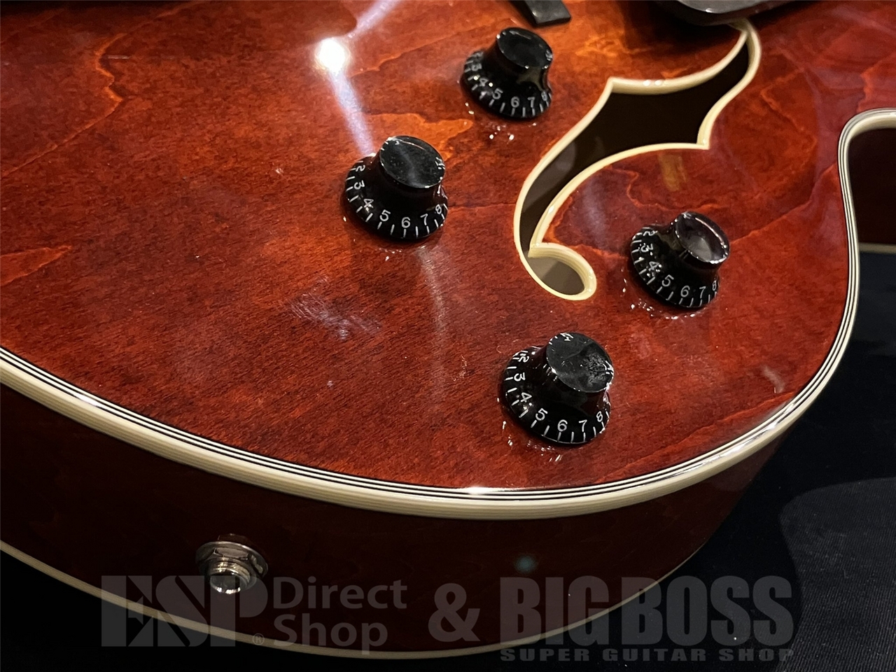 Eastman AR403CED（新品/送料無料）【楽器検索デジマート】
