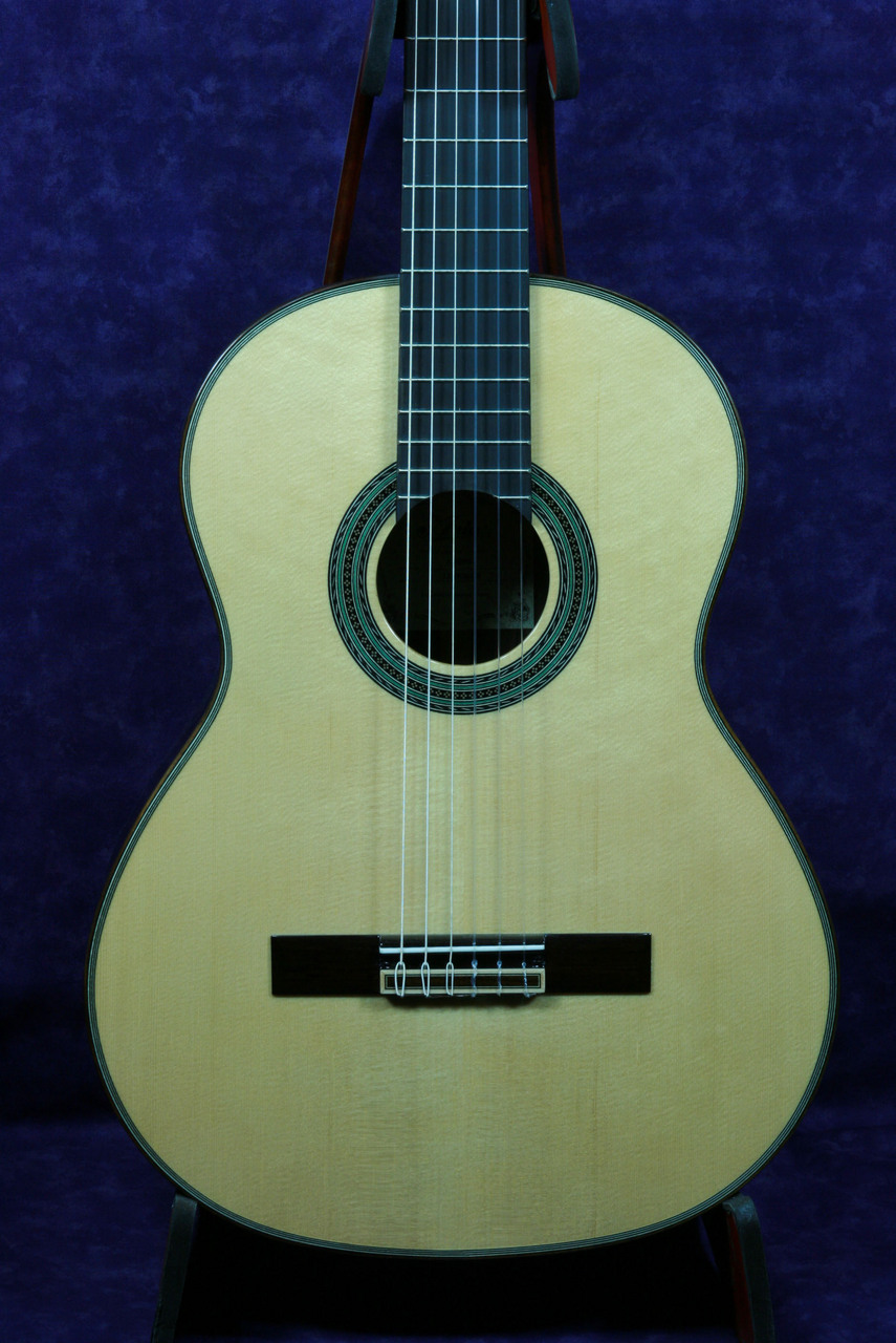 ARIA A－100S オール単板（新品）【楽器検索デジマート】