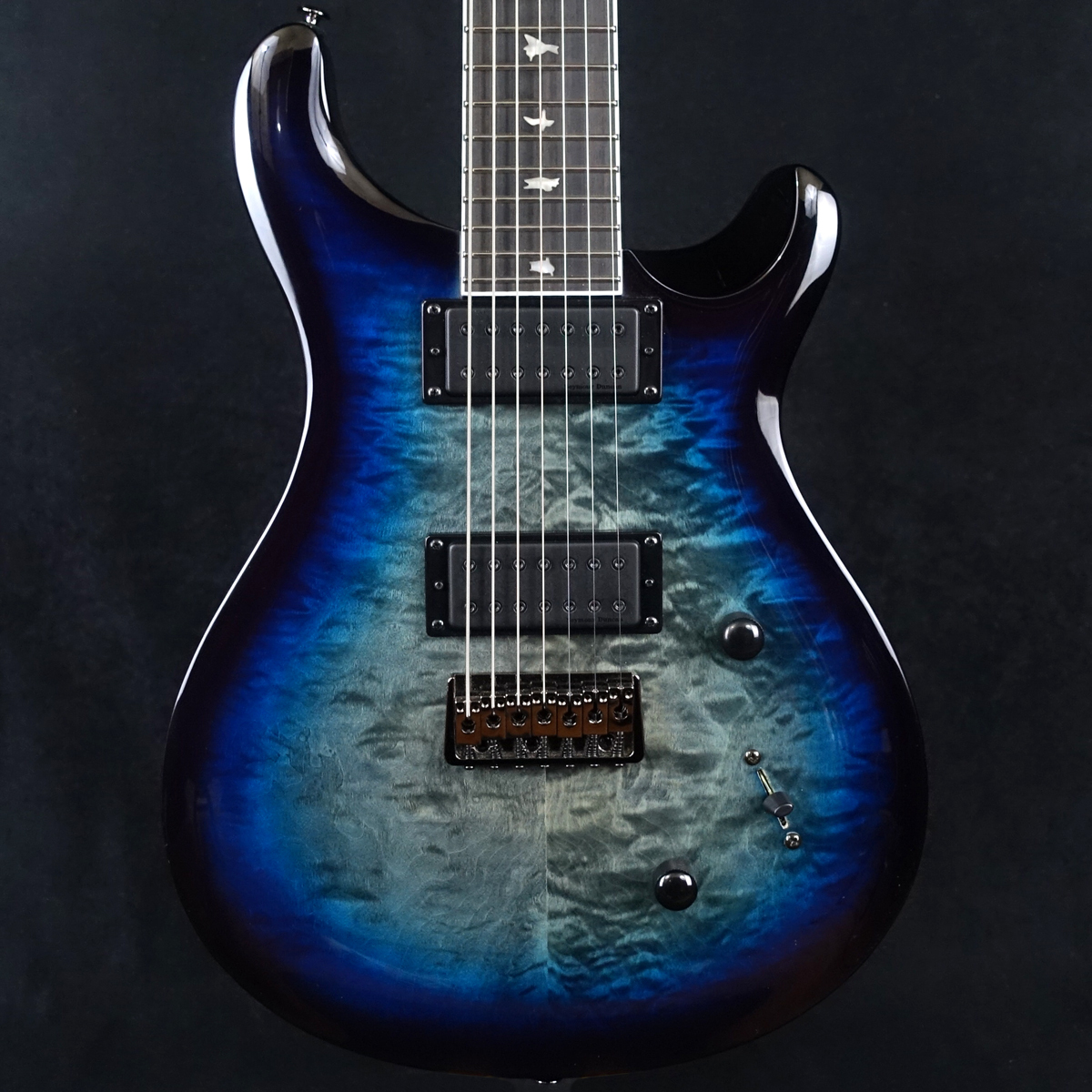 P.R.S. SE Mark Holcomb SVN (Holcomb Blue Burst) ｜イケベ楽器