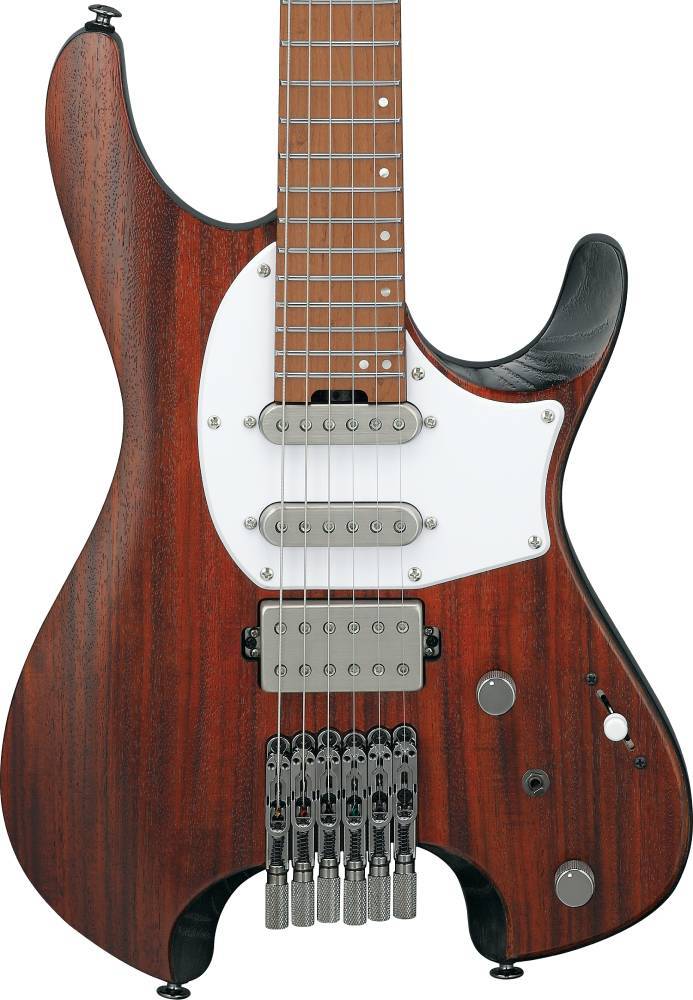 Ibanez 【スポット生産品!!】Q54WR -CNL (Charcoal Brown Low Gloss