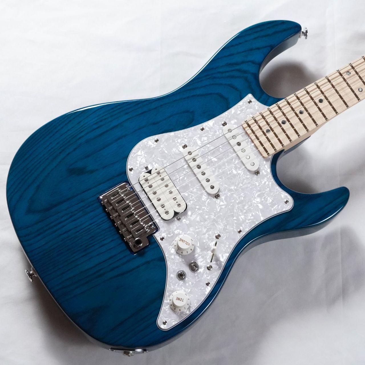 FUJIGEN(FGN) EOS-ASH-M /See-Thru Blue Burst ハードケース付属