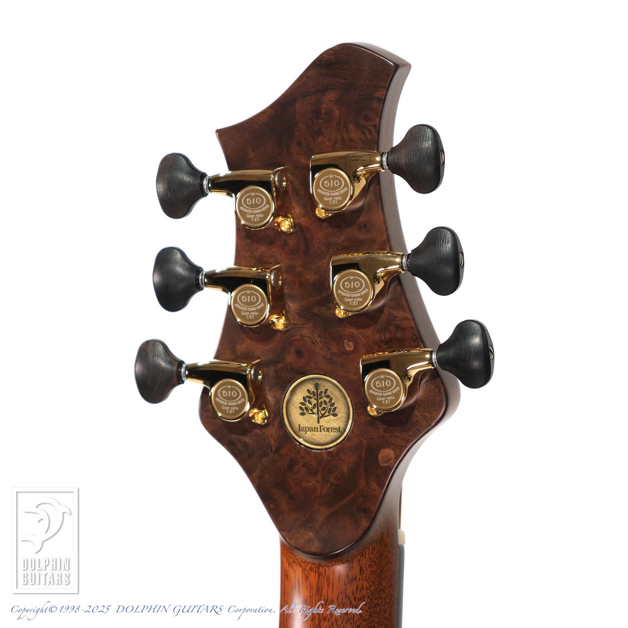 ギター Morris MF603 Morris MF-603 国産 トップ単板モデル！ S＆Bはボリビアンローズ