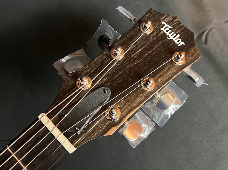 Taylor 214ce Rosewood（新品/送料無料）【楽器検索デジマート】