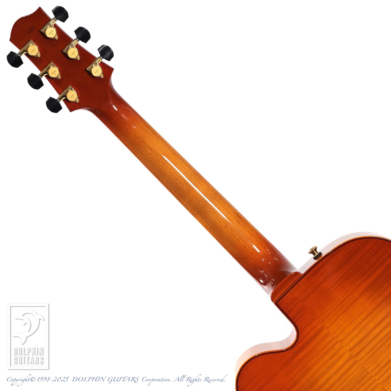 Sadowsky The Jim Hall Model (VLB)【48回無金利対象品】（新品