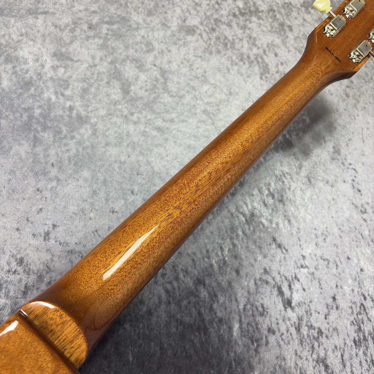 Tokai LS-201-WA【Gold Top】s/n2653010【4.19kg】【日本製】（新品