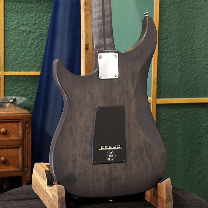 Vigier Guitars Excalibur Special VE6-CVSP1, Velours Noir