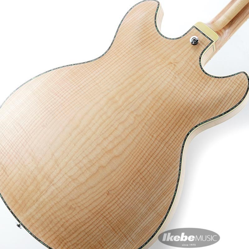 ARTSTAR ASV113　 美品　ハードケース付 ARTSTAR ASV113 美品 ハードケース付