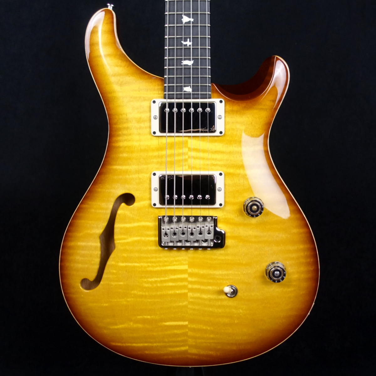 Paul Reed Smith(PRS) CE 24 Semi-Hollow Custom Configuration