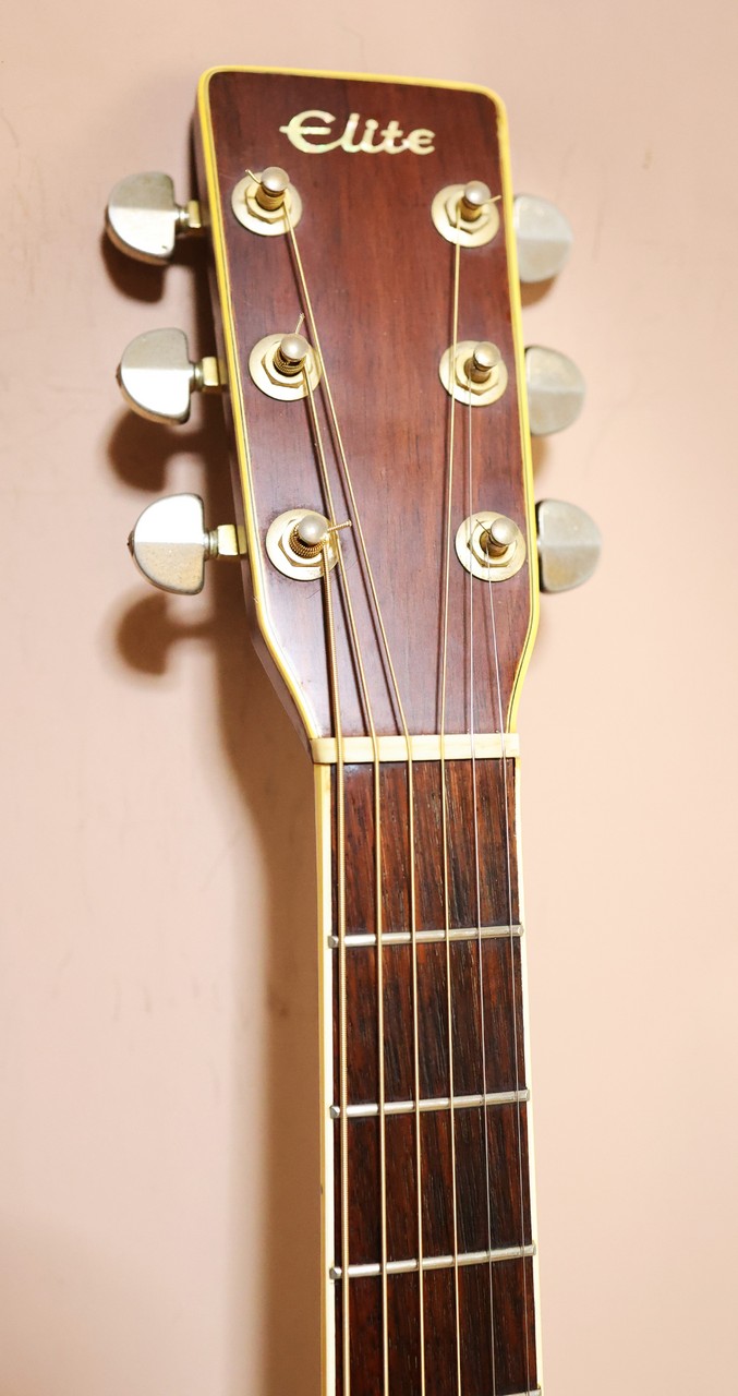 Takamine Elite by TAKAMINE TW-60 ハカランダ（ビンテージ