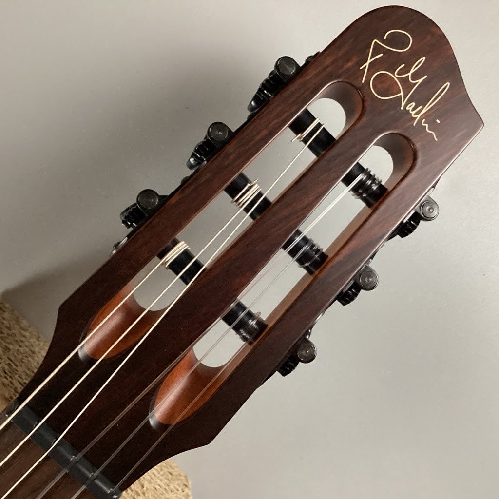 Godin 【ゴダン】 Multiac Mundial -OB-【エレガットギター】（新品