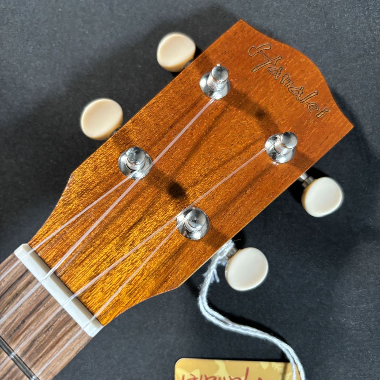 Hanalei HUK-100CII コンサートウクレレ マホガニートップ単板