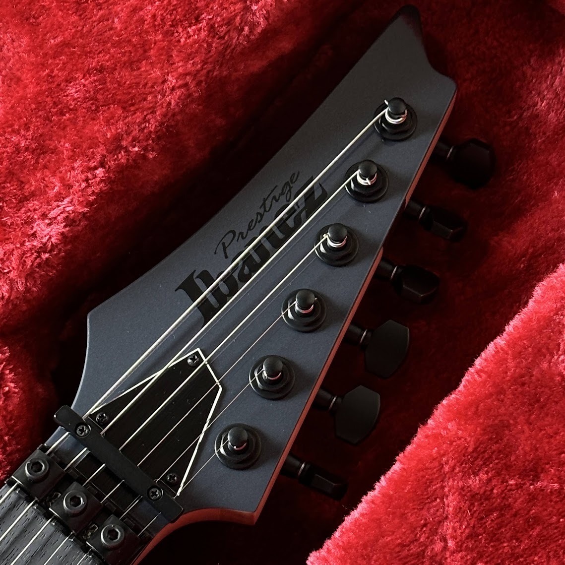 Ibanez 【Fishmanピックアップ】 RGR5130R 【ステンレスフレット