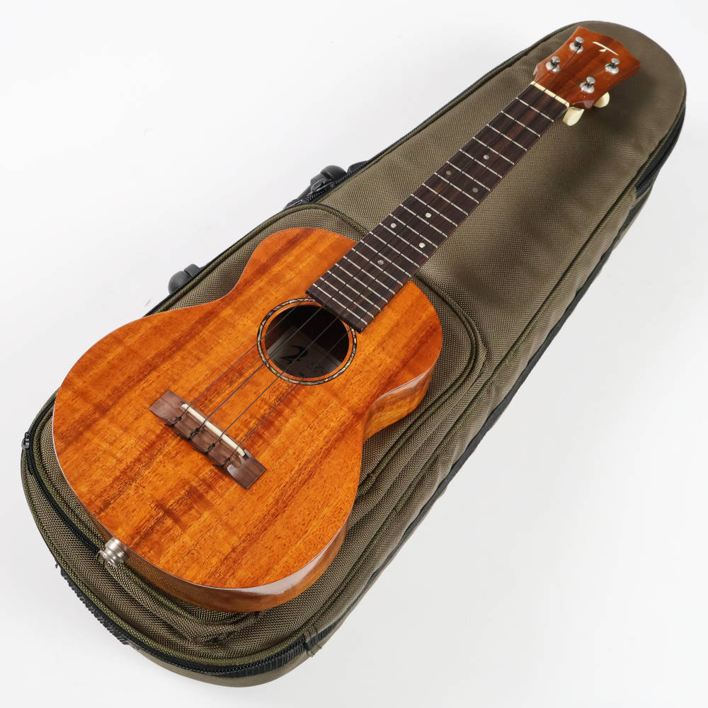 T's ウクレレ ティーズウクレレ ５弦ウクレレ コンサートサイズ T's ウクレレ ティーズウクレレ 5弦ウクレレ コンサートサイズ T's