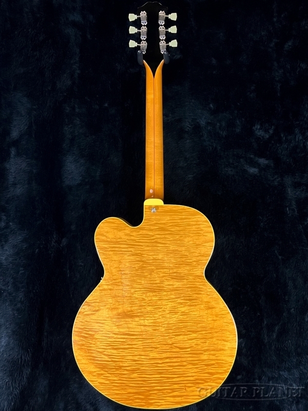 KING SNAKE Two Bone T -Amber Natural-【2.84kg】【金利0%対象