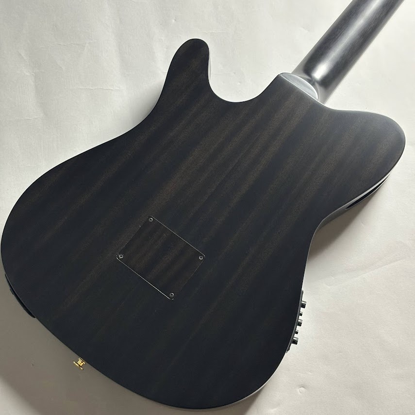 Ibanez FRH20FMN エレガットギター【現物写真】（新品/送料無料