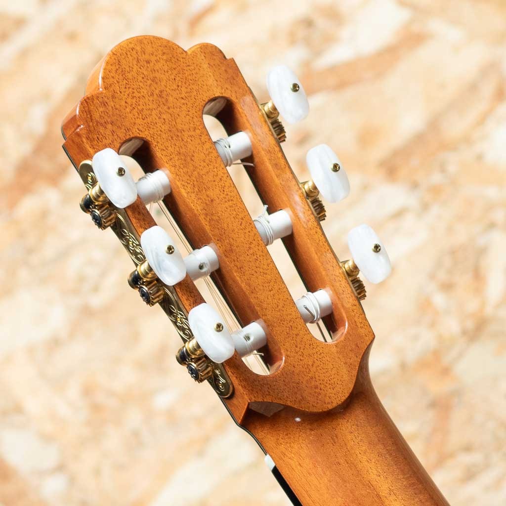 ASTURIAS TSUJI S-2/S（新品）【楽器検索デジマート】