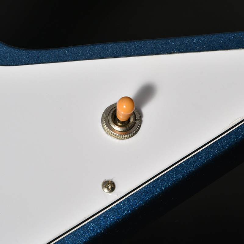 Bacchus Global Series / BEX-STD/S LPB (Lake Placid Blue