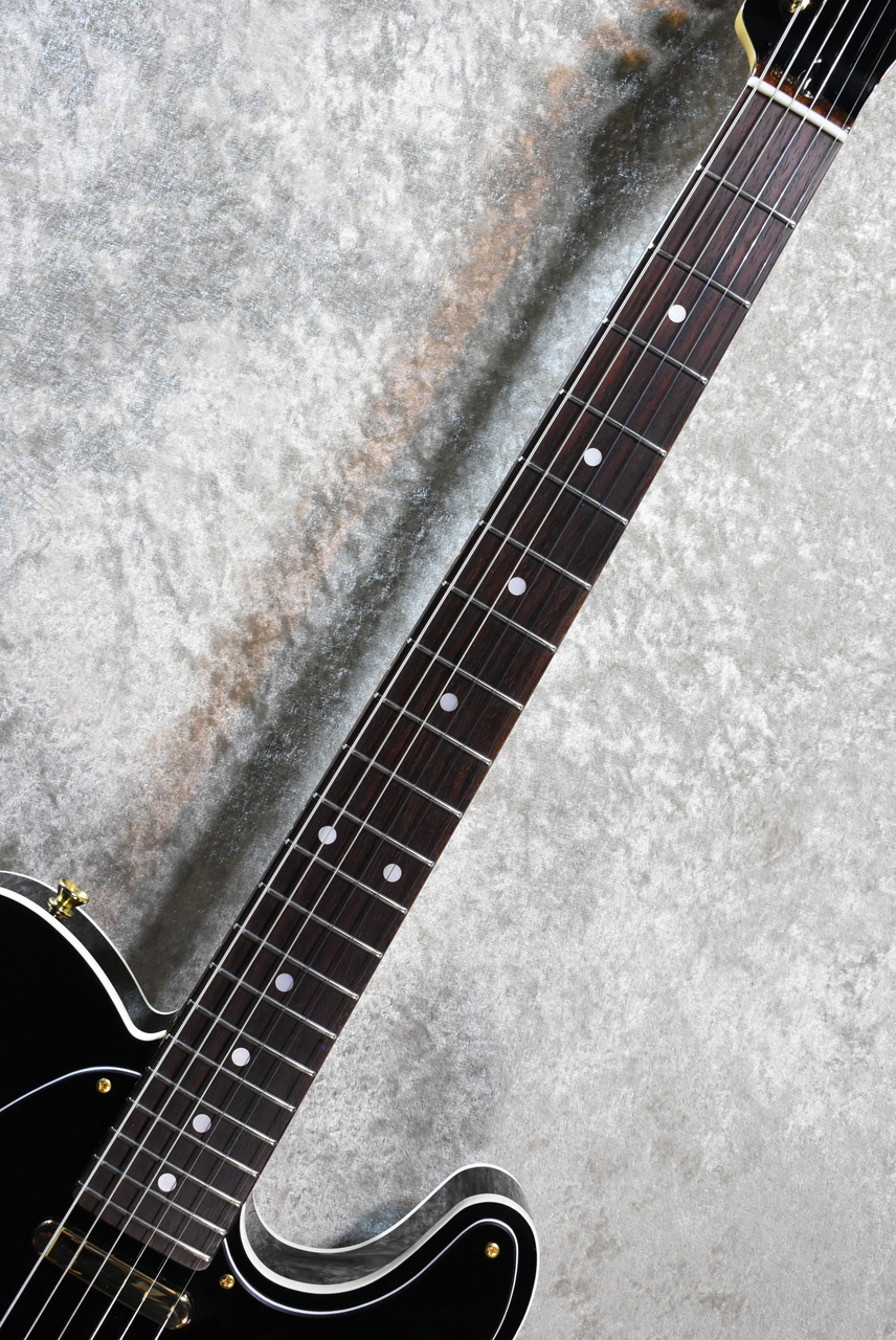 Tokai ATE-101B/G BBR Black Beauty【2024美品中古】【3.45kg】【少数