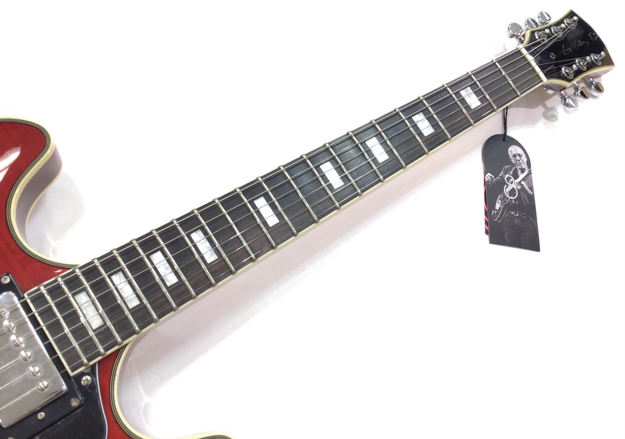 【新春特価！】Sire H7 Larry Carlton 2024 山野楽器 新春特価！】Sire H7 Larry Carlton 2024 山野楽器 Sire Larry
