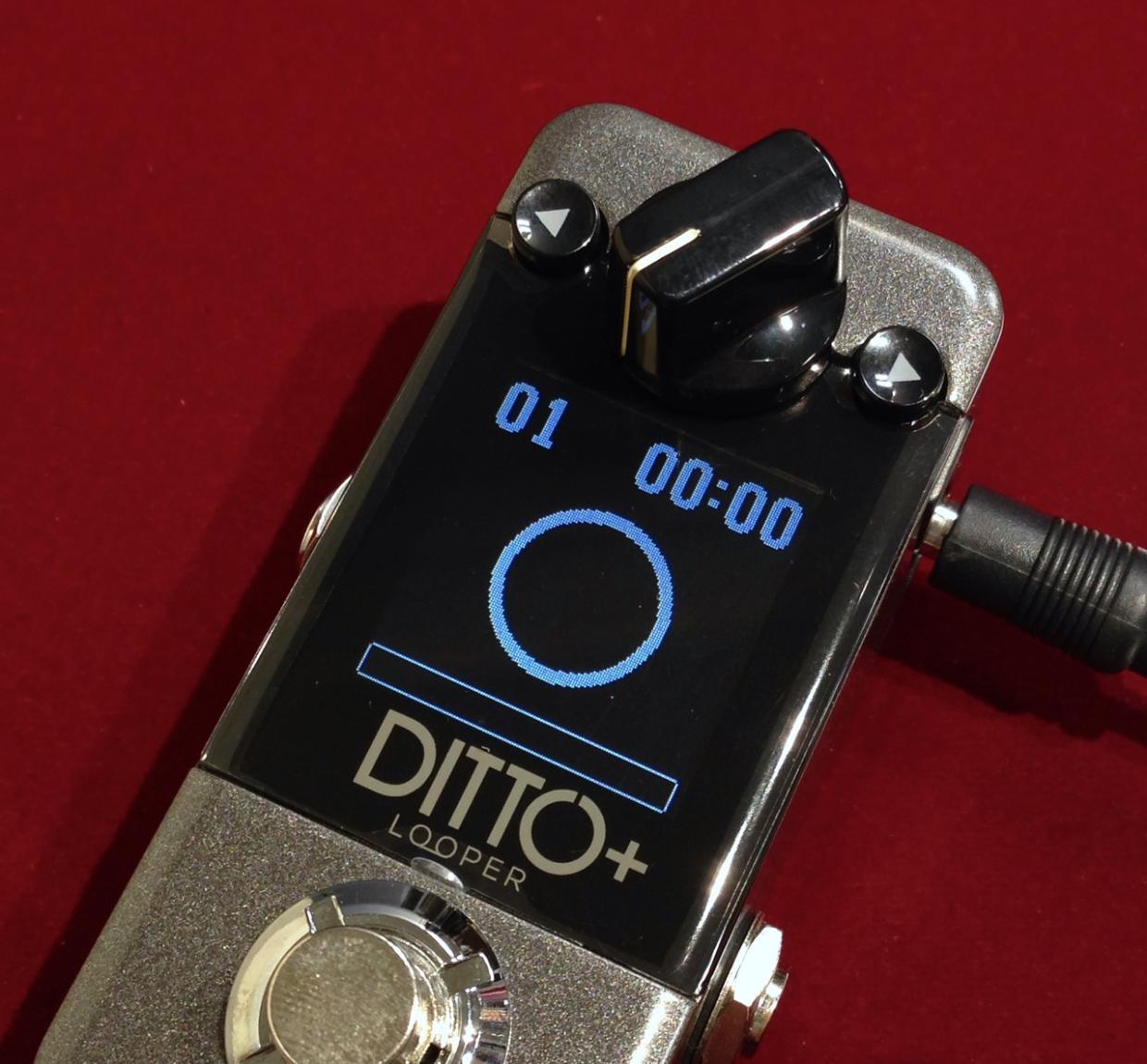 tc electronic DITTO+（新品/送料無料）【楽器検索デジマート】