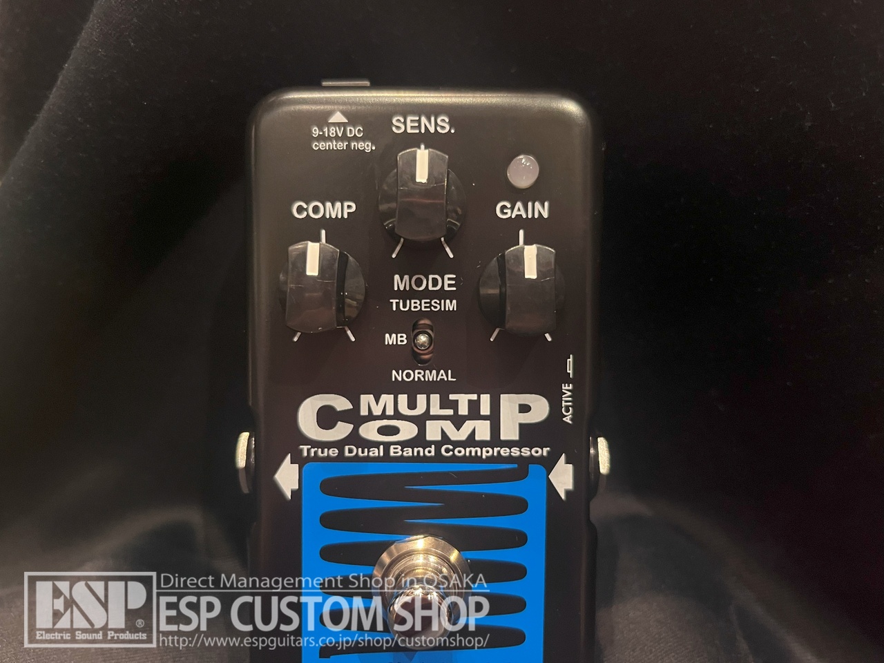 EBS MultiComp BlueLabel（新品/送料無料）【楽器検索デジマート】
