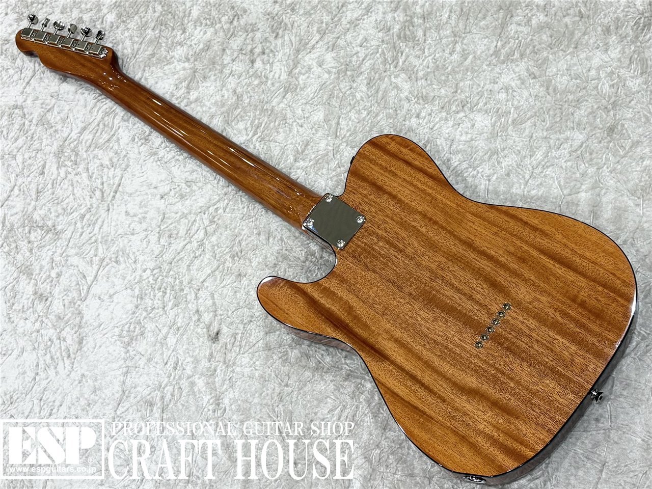 Tokai ATE-103S / Natural（新品/送料無料）【楽器検索デジマート】