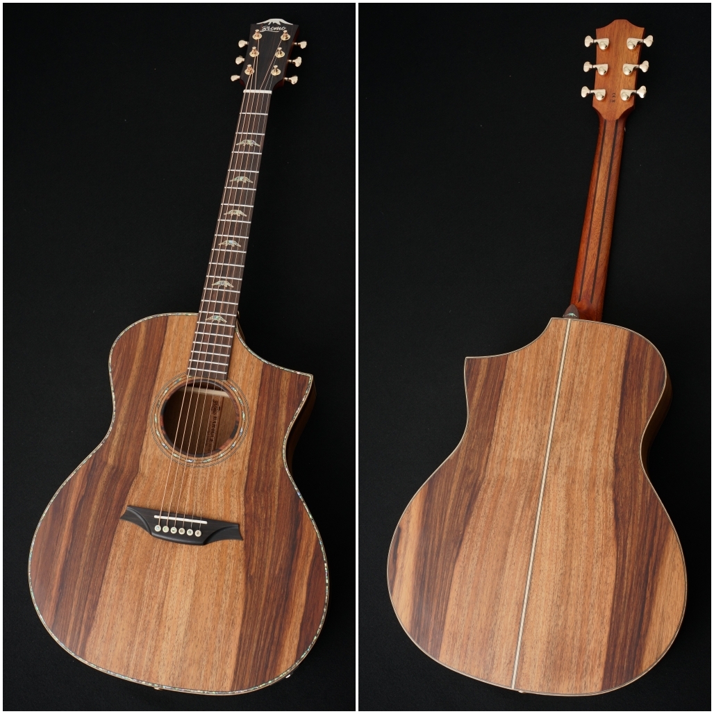 Bromo Guitars BAR4GCE 【動画あり】【国内工房セットアップ