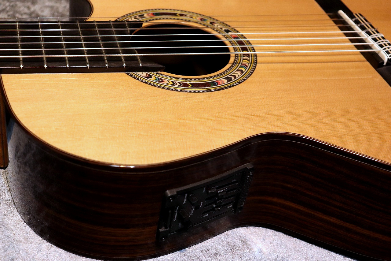 Orpheus Valley Guitars F65CW-7S 7弦 エレガット - アコースティック ...