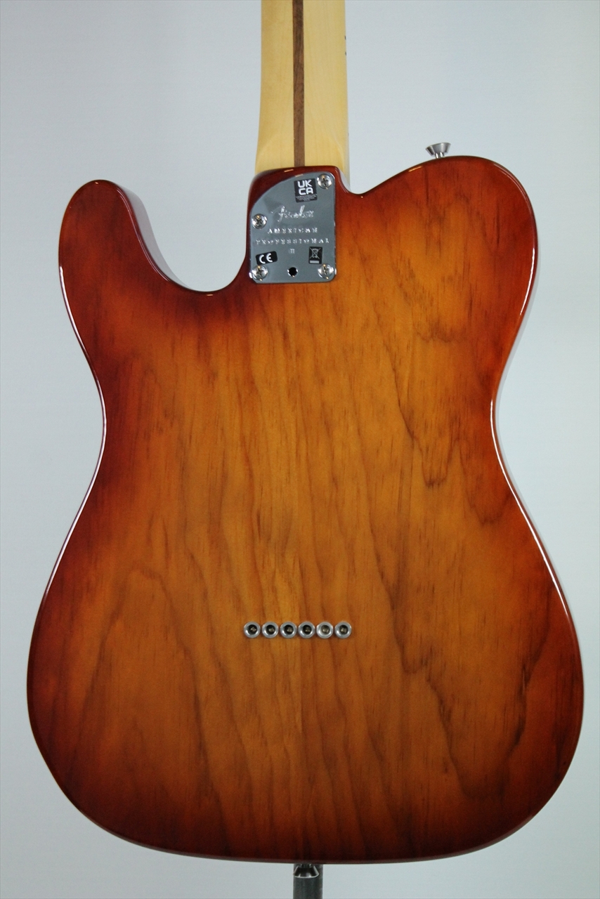 Fender American Professional II Telecaster, Maple Fingerboard