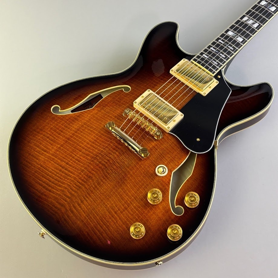 Ibanez JSM100 ジョンスコフィールドモデル セミアコ エレキギター