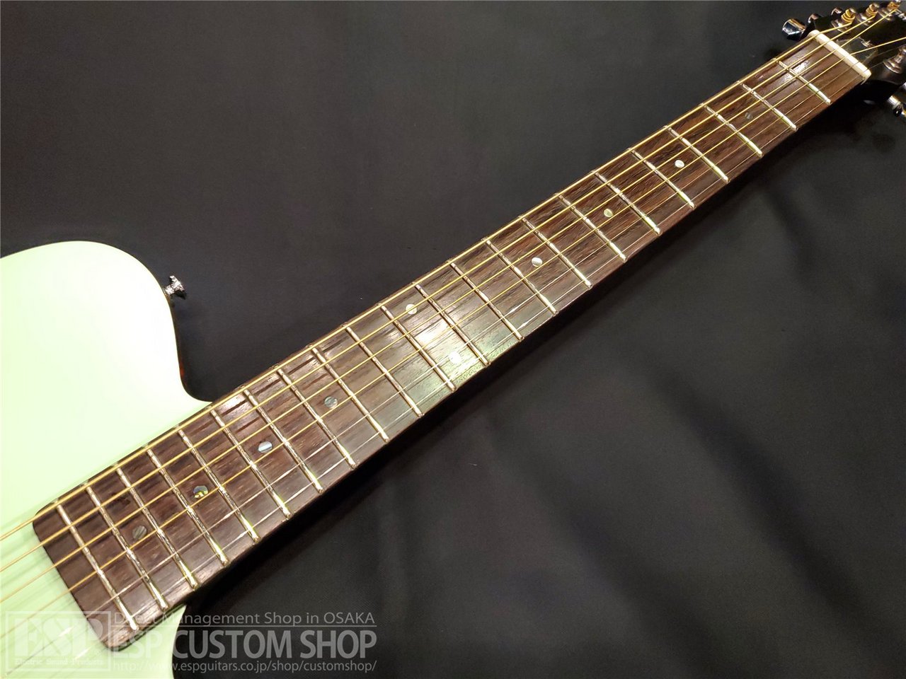 ギター somebody2love SCHECTER SERIES:OL-FL S SCHECTER OL-FL-N SNTL エレクトリッククラシックギター