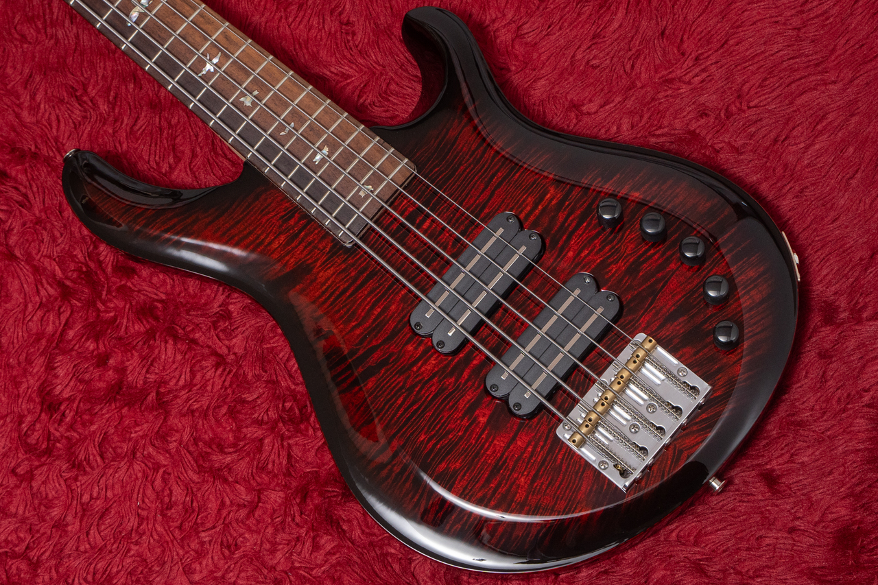 Paul Reed Smith(PRS) Grainger 5 String Bass 10top 72 4.145kg
