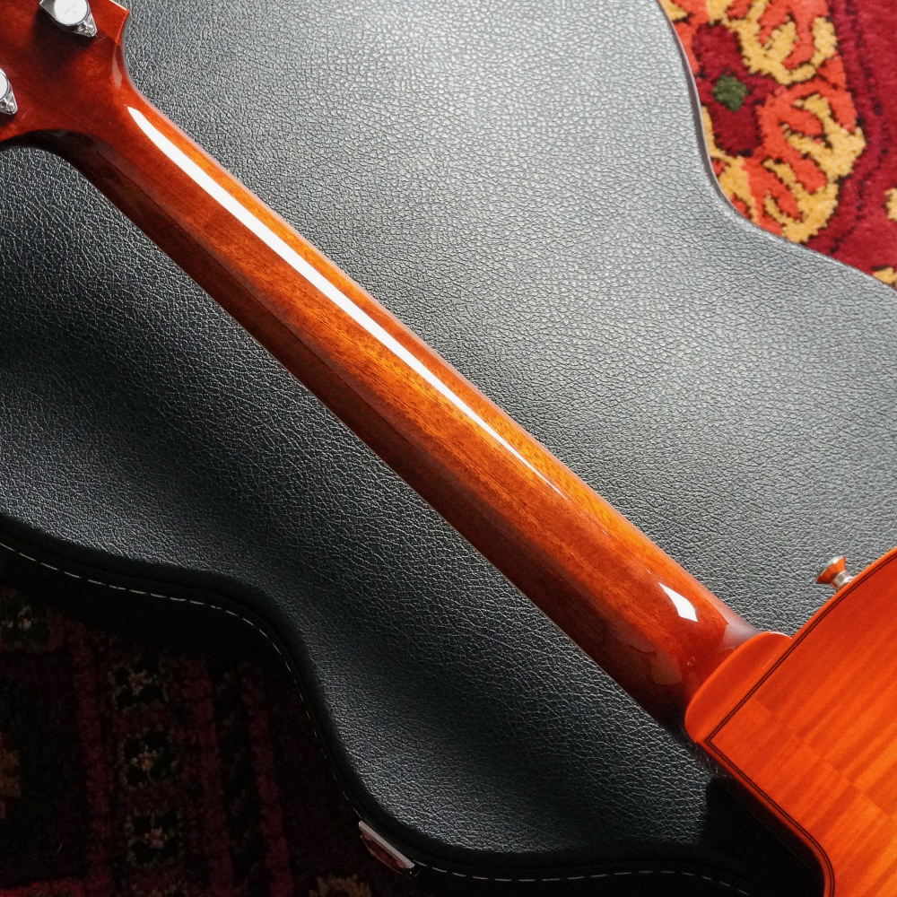 Sadowsky Semi Hollow VLB / Violin Burst（新品）【楽器検索デジマート】