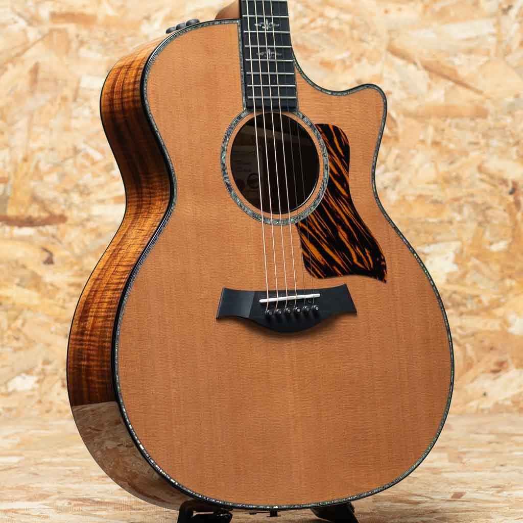 Taylor Custom C14ce B5028（新品）【楽器検索デジマート】