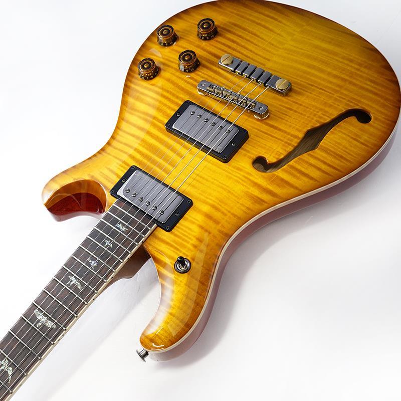 Paul Reed Smith(PRS) Wood Library McCarty 594 Semi-Hollow (McCarty